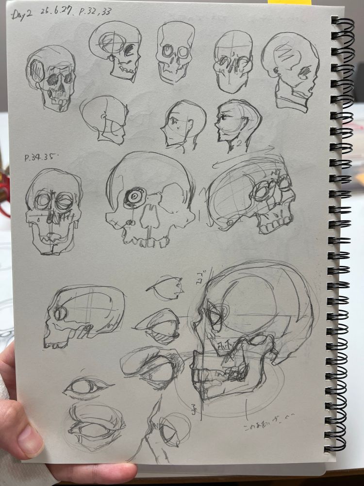 モルフォ人体デッサンの模写