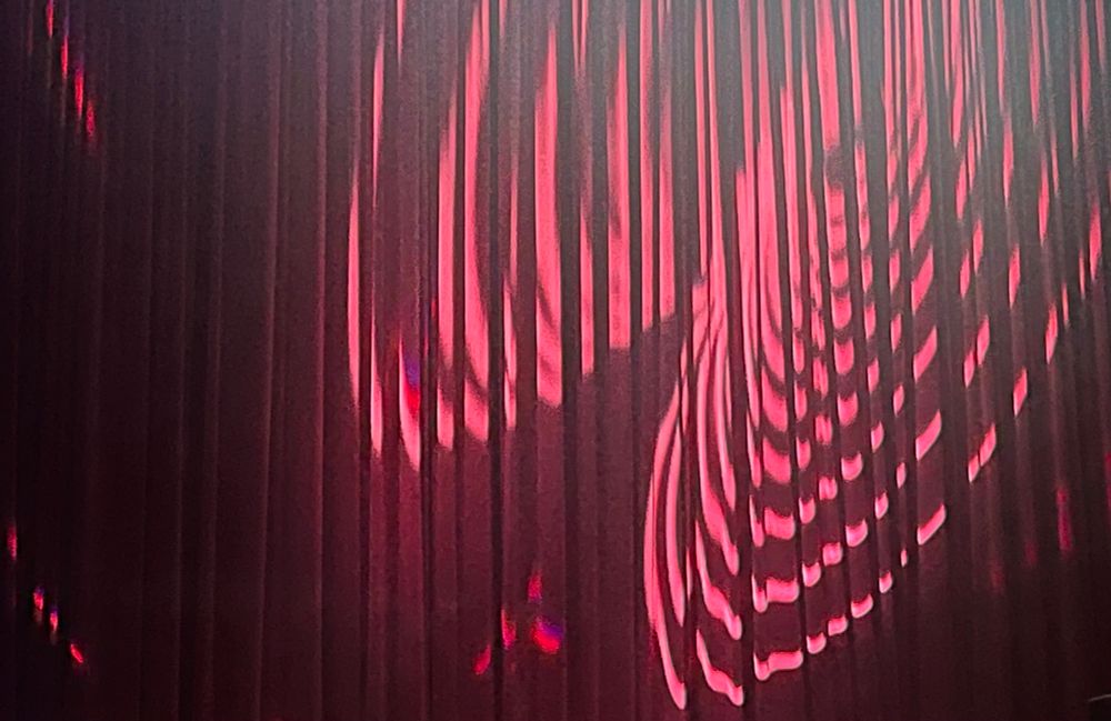 Konzentrische Kreise in rosa auf einen dunklen, faltenwerfenden Vorhang projiziert.