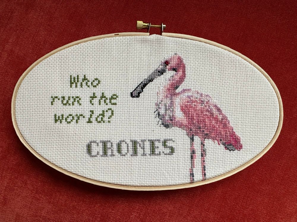 Cross-stitch in oval wooden frame. On the right is a Roseate Spoonbill. Text reads, “who run the world? CRONES”