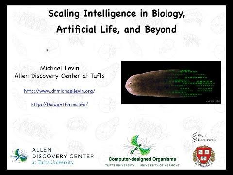 "Scaling Intelligence in Biology, Artificial Life, and Beyond" by Michael Levin
