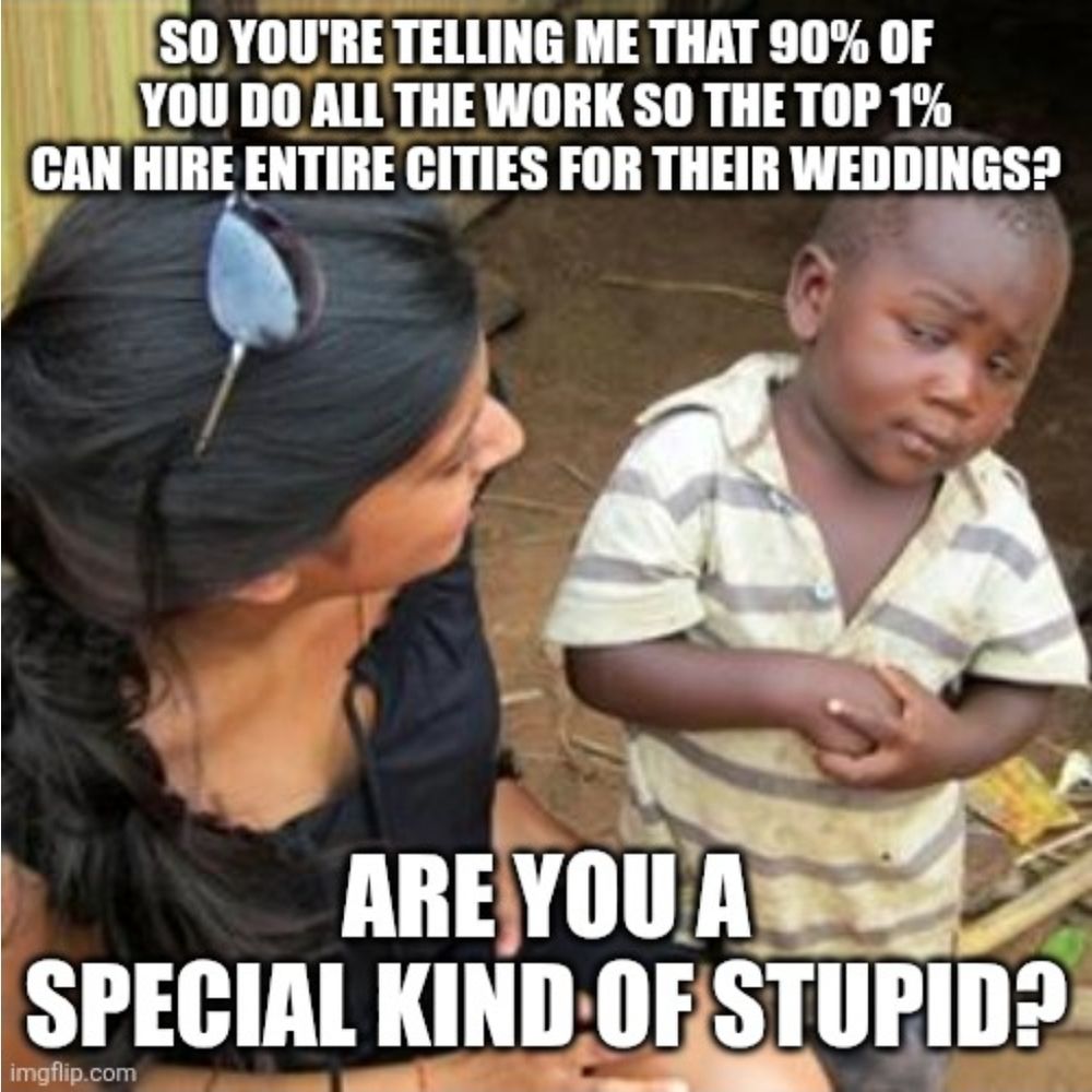 Meme stating So you're telling me that 90% of you do all the work so the top 1% can hire entire cities for their weddings? Are you a special kind of stupid?