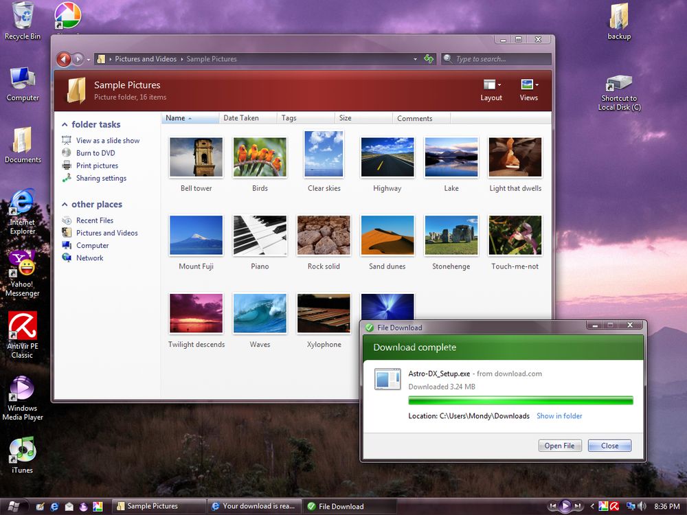 Showing the Windows Explorer window open on the Sample Pictures folder and an Internet Explorer download dialog having since finished the process.