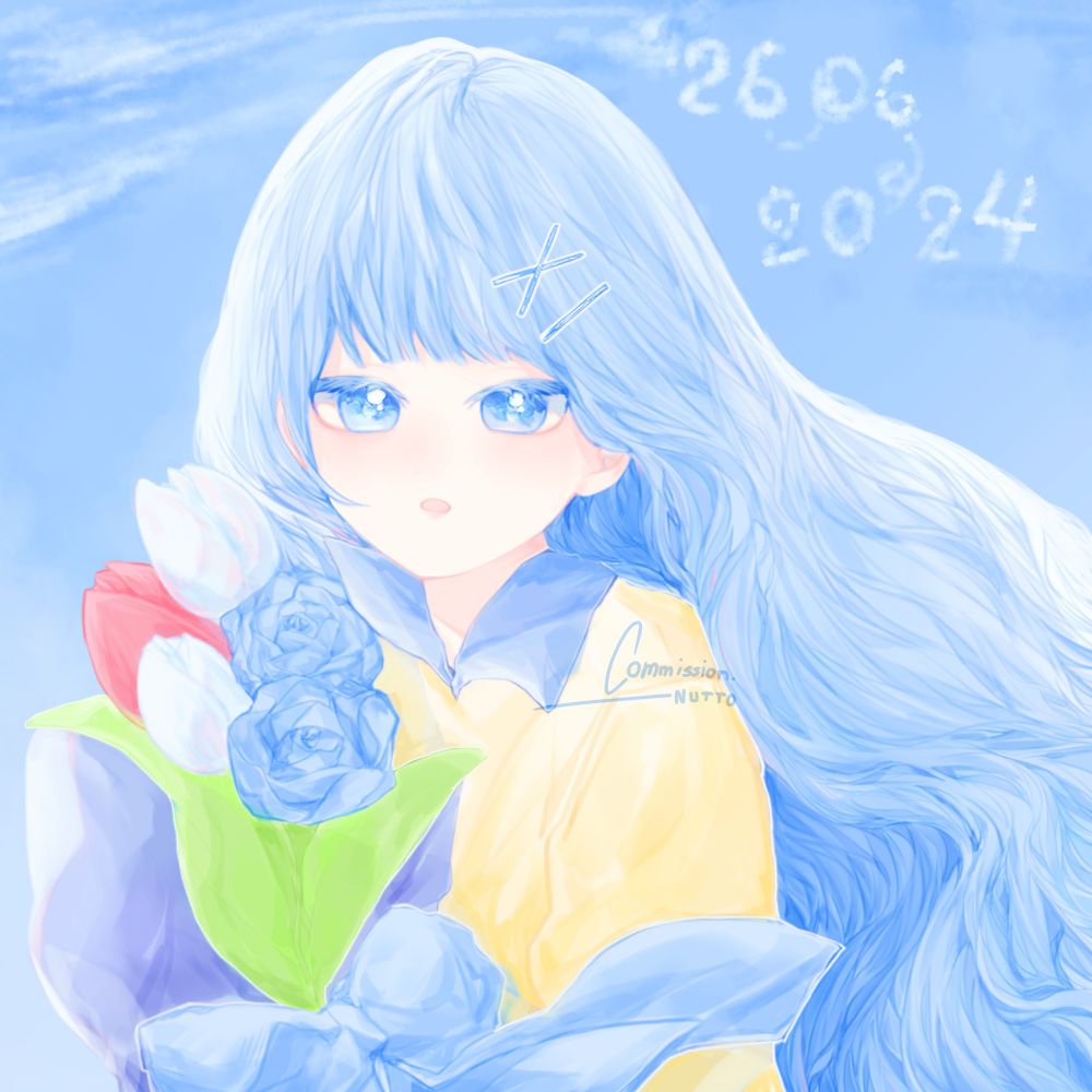 Commission don't use/copy 