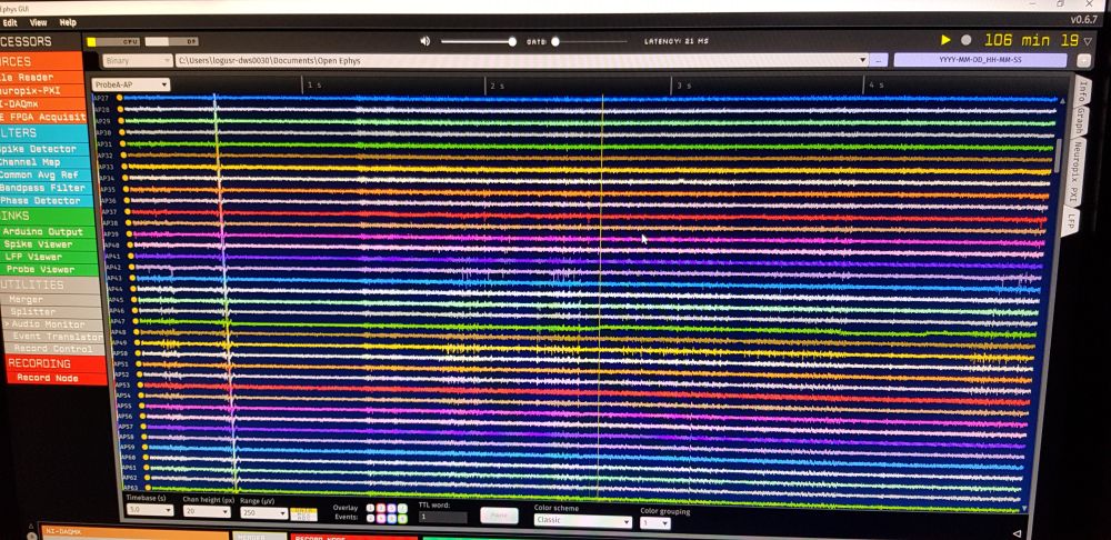 Picture of a screen showing NP a recording in OpenEphys