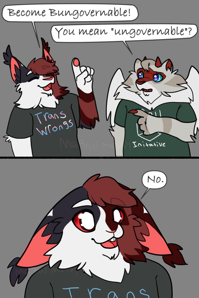A 2 panel comic with 2 characters in the top panel and one in the second. First panel is an anthro calico cat with mostly black fur, right half of his face is red with darker red accents and a "trans wrongs" t-shirt in the colors of the trans flag saying "become bungovernable!". The other character character, an anthro cat-dragon with off white fur, red horns and a green shirt saying "you mean "ungovernable"?".
The second panel is the calico from before, but now a bunny with droopy ears but same patterning saying "no."