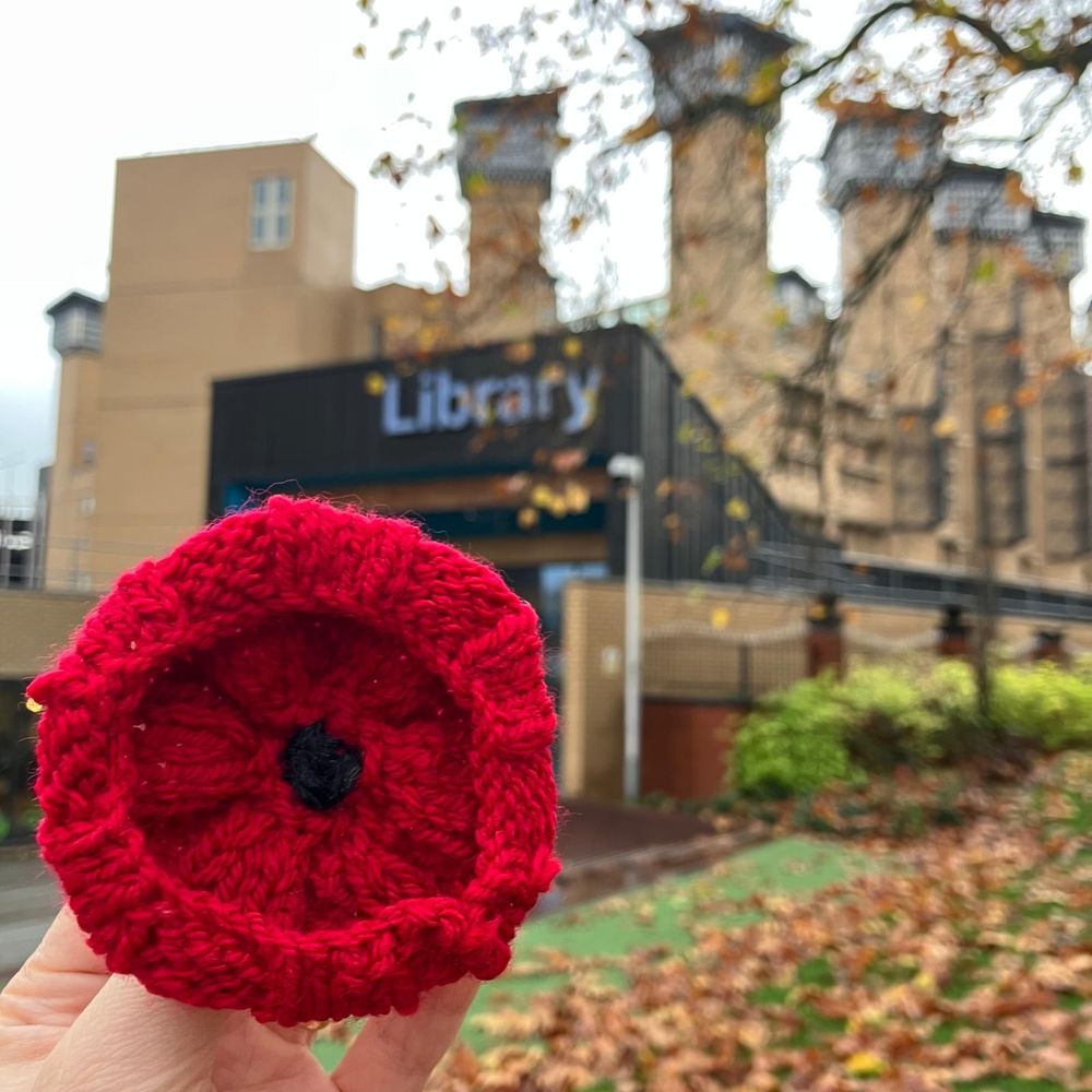 Image shows a knitted poppy in front of the library entrance.