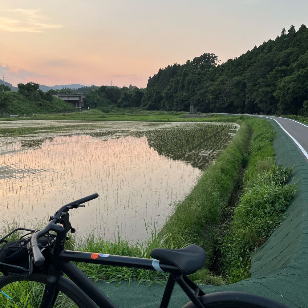 Rice paddy, e-bike, cycle path in rural Japan
