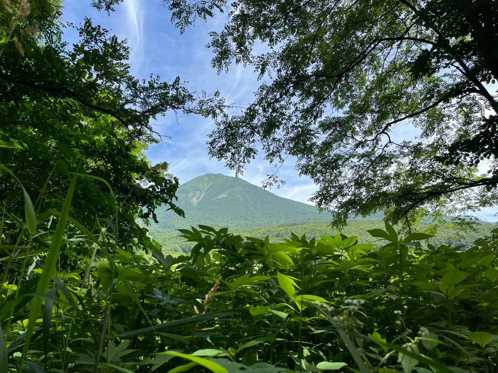 Mt Bandai, Fukushima Prefecture, Japan. Close-up view from the south. 