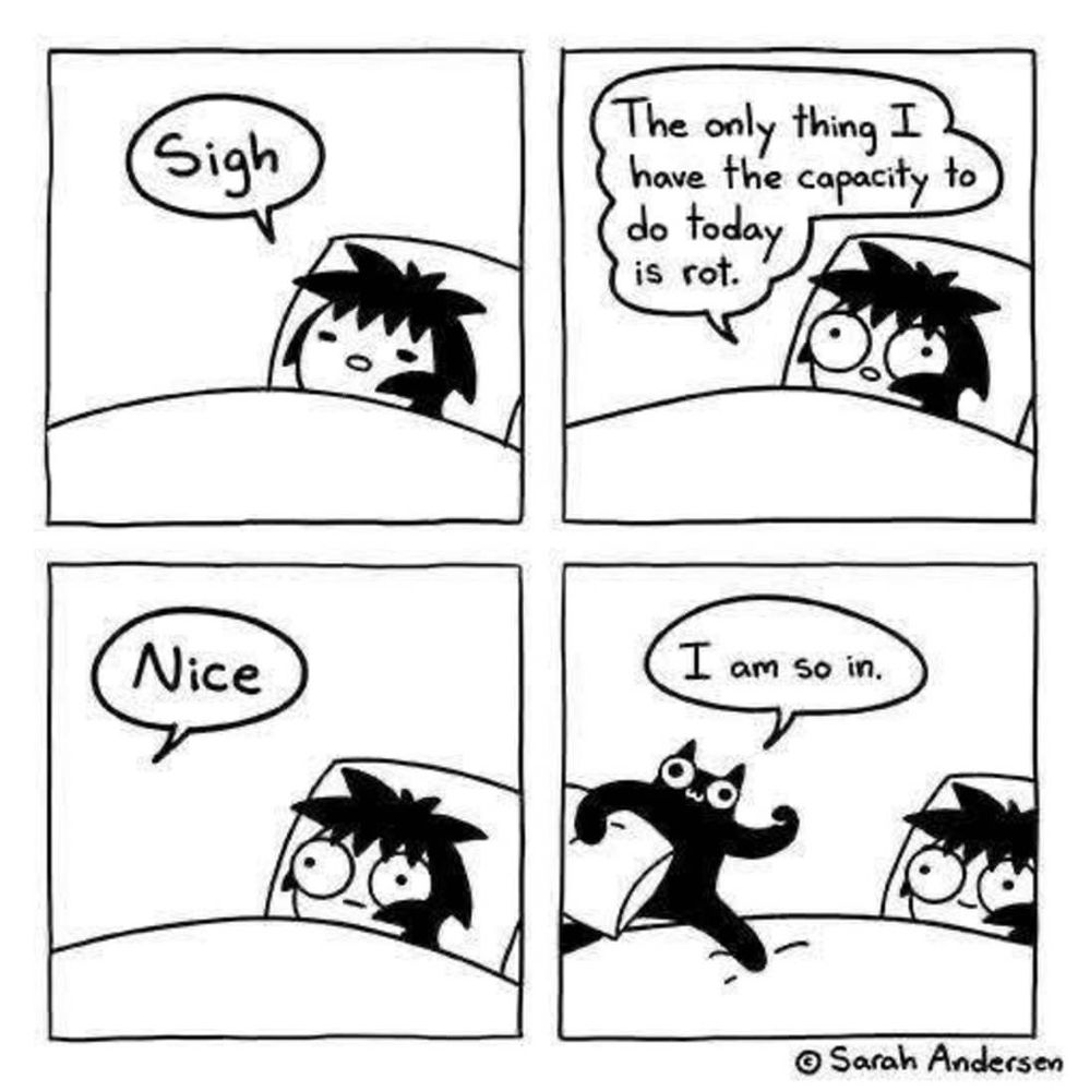 Sarah Andersen comic with four panels. Panel one shows a woman sighing in bed. The second panel shows her in bed saying “the only thing I have the capacity to do today is rot”. The third panel shows a reply bubble saying “Nice”. The last panel reveals her black cat coming to join her with a pillow on hand saying “I am so in”, bring a smile to her face.