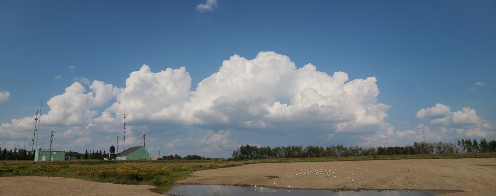 A rural Alberta panorama dominated by the sky showing big bright fluffy clouds 