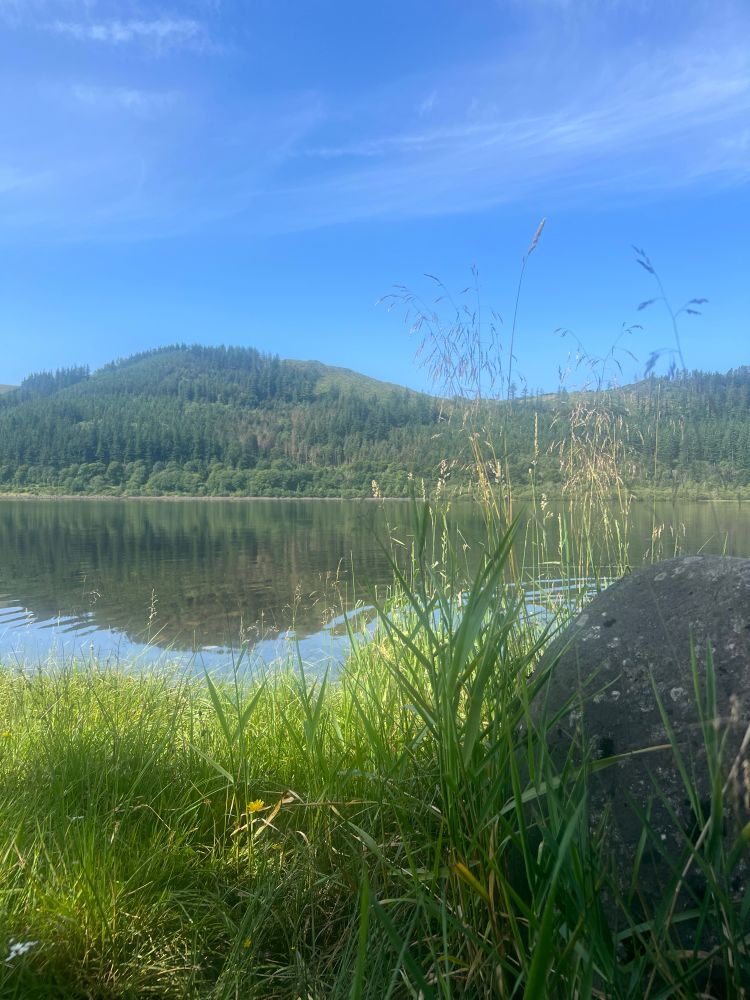 Calm lake reflecting a forested hill, with tall grass and a rock in the foreground under a clear blue sky