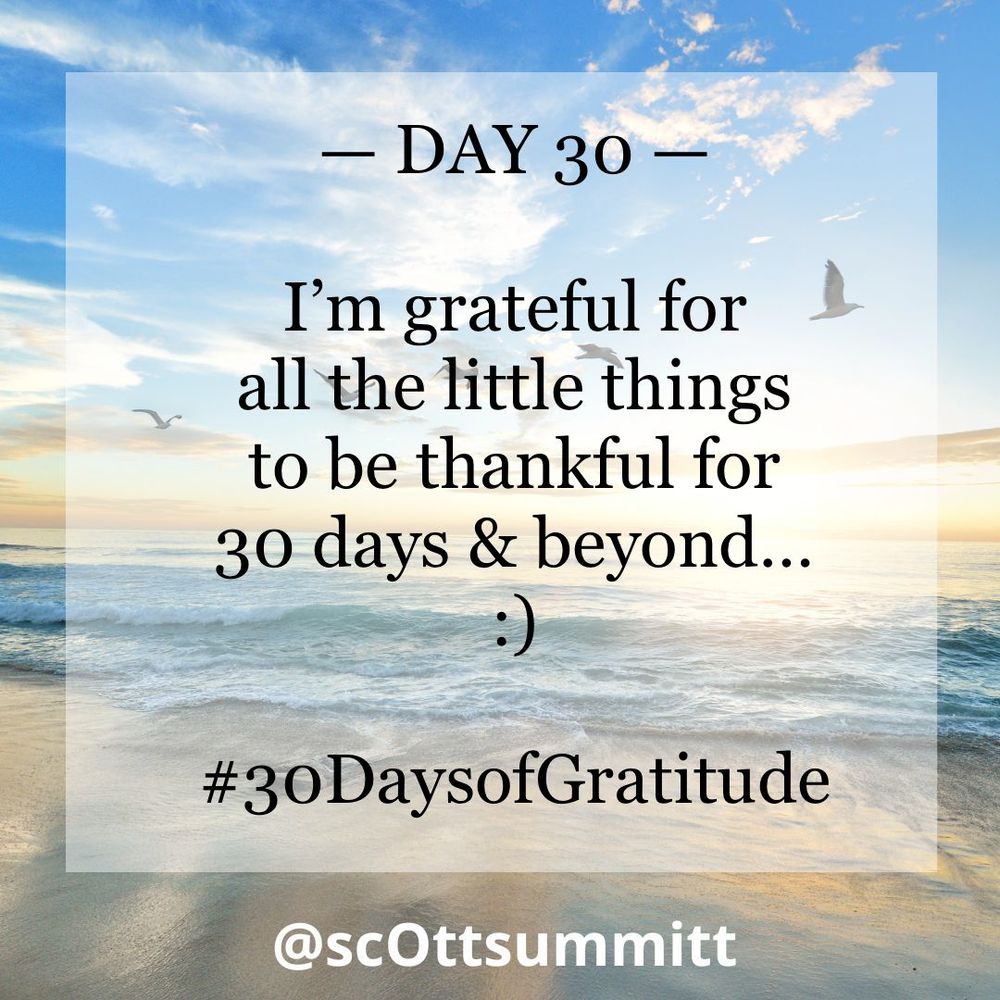 A picture of a beautiful white beach with rolling blue waves under a bright blue & sunny sky filled with seagulls. An opaque white box with black letters reading "Day 30 - I’m grateful for all the little things to be grateful for 30 days & beyond…“ and the hashtag #30DaysofGratitude