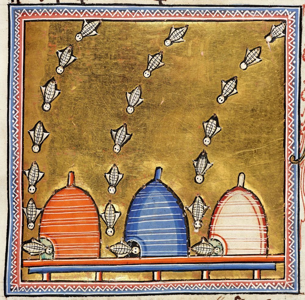 Bestiary illustration of bees, showing 3 lines of bees flying into 3 skeppas.