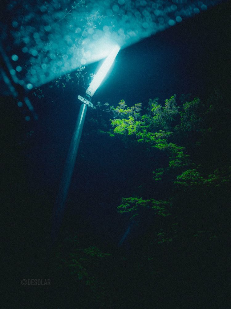 A shot of a lamppost in the rain. The edge of an umbrella sheltering from the rain. Its cover adds to the glow of the light above you. You can almost hear the rain drops. 