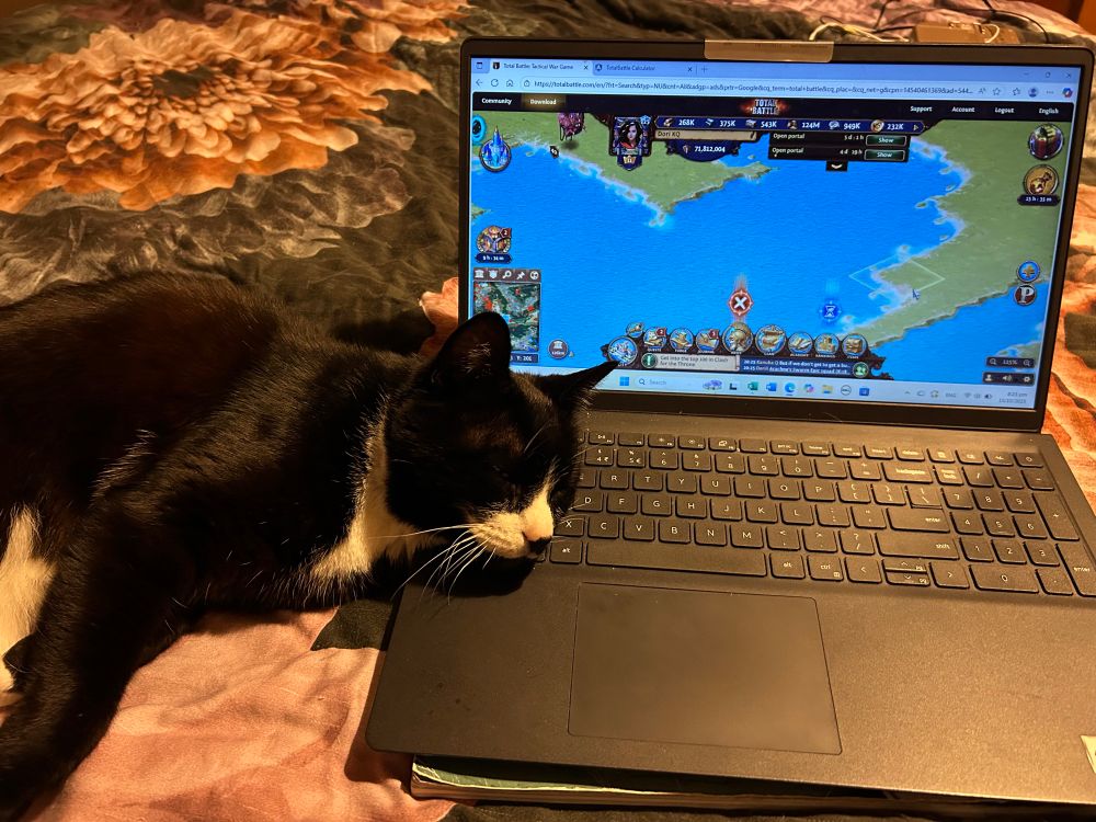 Felix likes to be on me or my laptop. We came to a compromise where his head could be on the laptop while I played my game. 