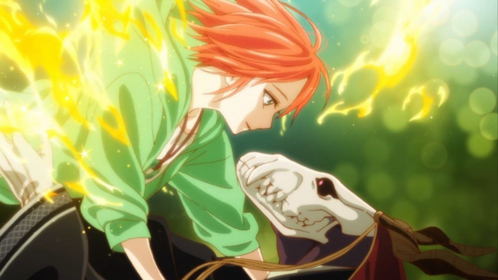 The Ancient Magus' Bride Episode 12: A New Perspective and the Journey Home - Crow's World of Anime