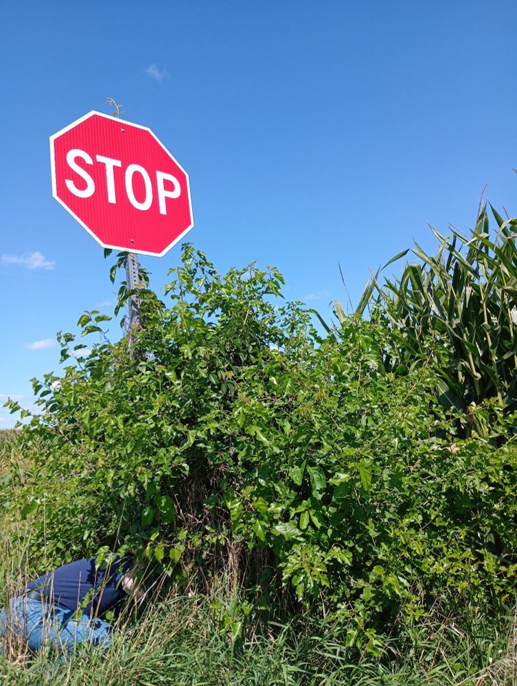 Rural Indiana cornfield geocache find at stop sign.