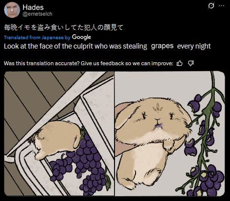 a tweet captioned "Look at the face of the culprit who was stealing grapes every night" from Hades Final Fantasy 14 with attached pictures of my bunny oc stealing grapes