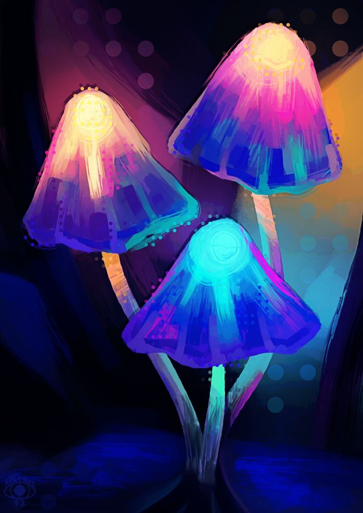 Three glowing mushrooms in vibrant blues, purples, pinks and yellows, illuminating a dark background