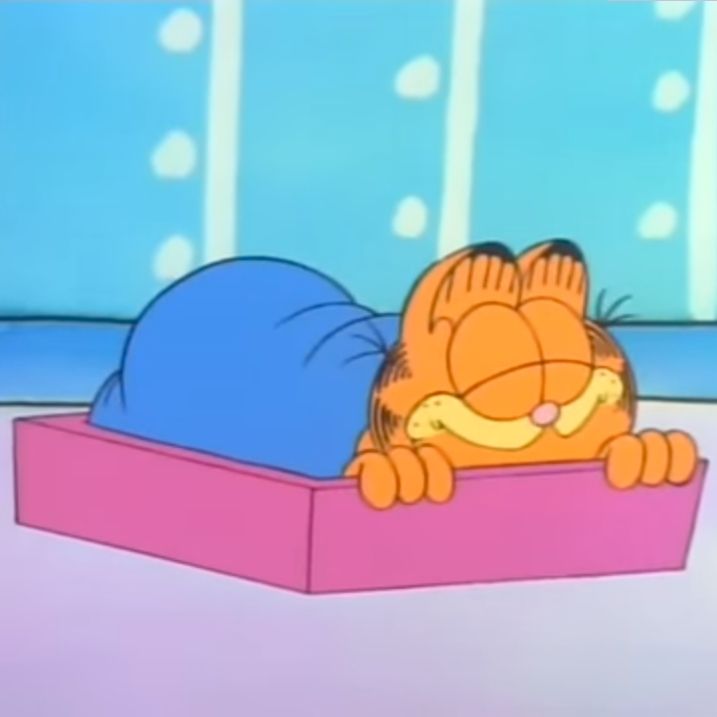 "People who sing like that should be drug out into the street and shot" - Garfield The Cat