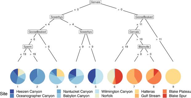 From the figure legend:
Figure 4. Conditional inference tree (Ctree) showing the partitioning effect of the presence of certain species (number of days per month) across 10 sites in the North Atlantic. Each Ctree node was restricted to a minimum sum of 60 weights and exceedance of a 0.95 test statistic. The size of the Ctree (depth) was not restricted, but the minimum sum of weights for each terminal node (numbered 1−9) was limited to 15. Each colour-coded site is labelled in the legend and ordered from north to south in order to latitude with a spectrum of colours from cool (blue) to warm (red). Beaked whale species represented all inner nodes except for one fourth tier node, which was sperm whales.