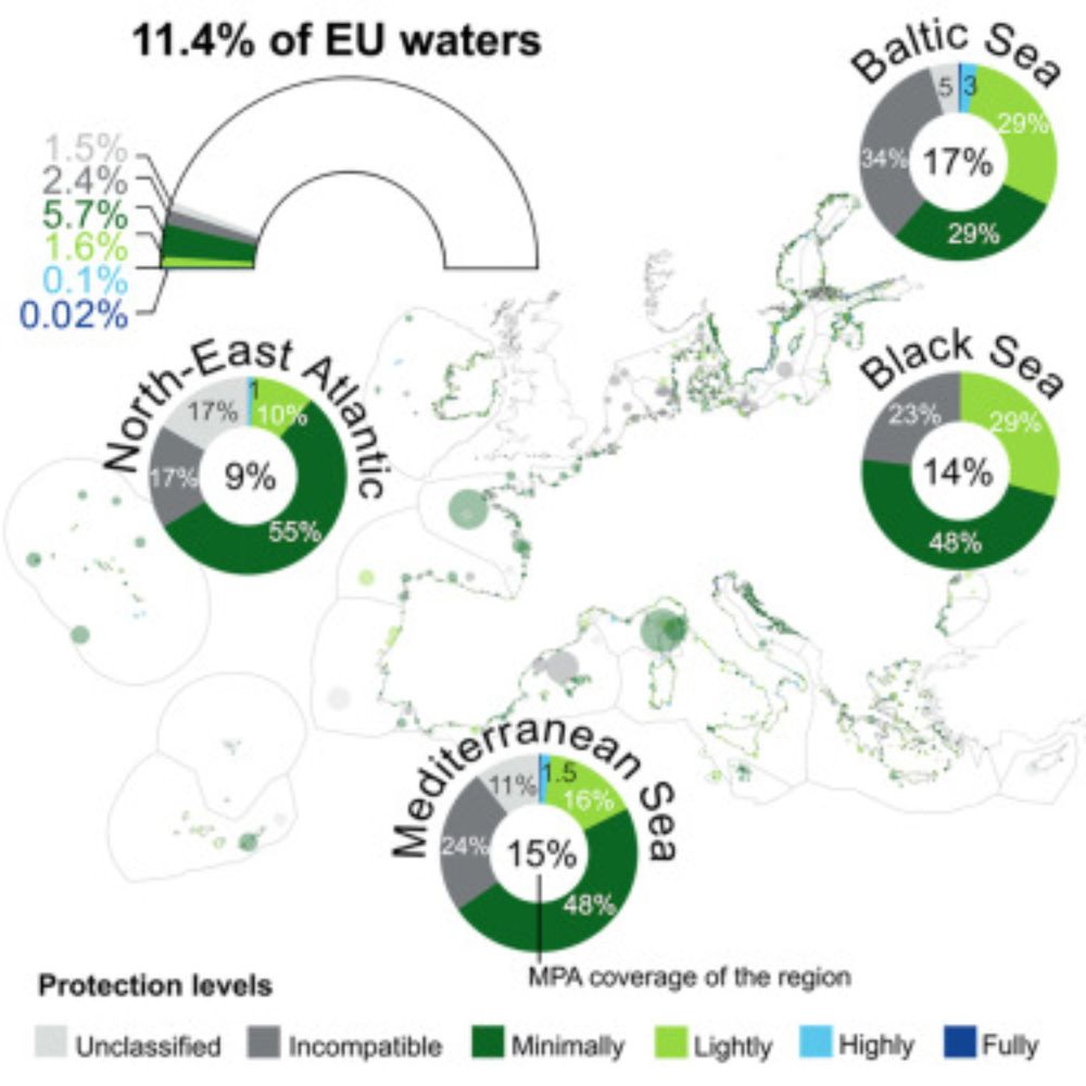 Over 80% of the European Union’s marine protected area only marginally regulates human activities