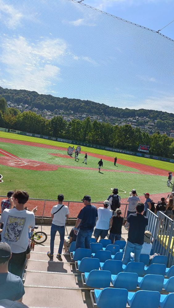 Les joueurs des Huskies de Rouen qui se congratulent
