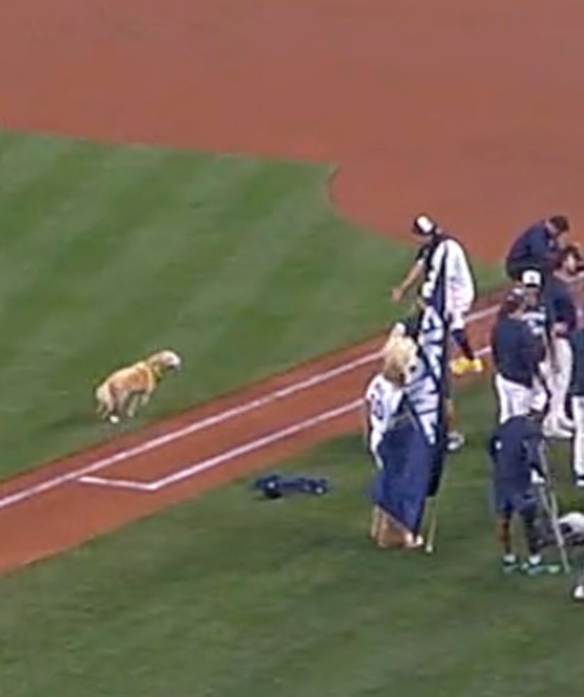 Zoomed in on the screenshot to see Naylor, arms open, walking up to a dog, Tucker 