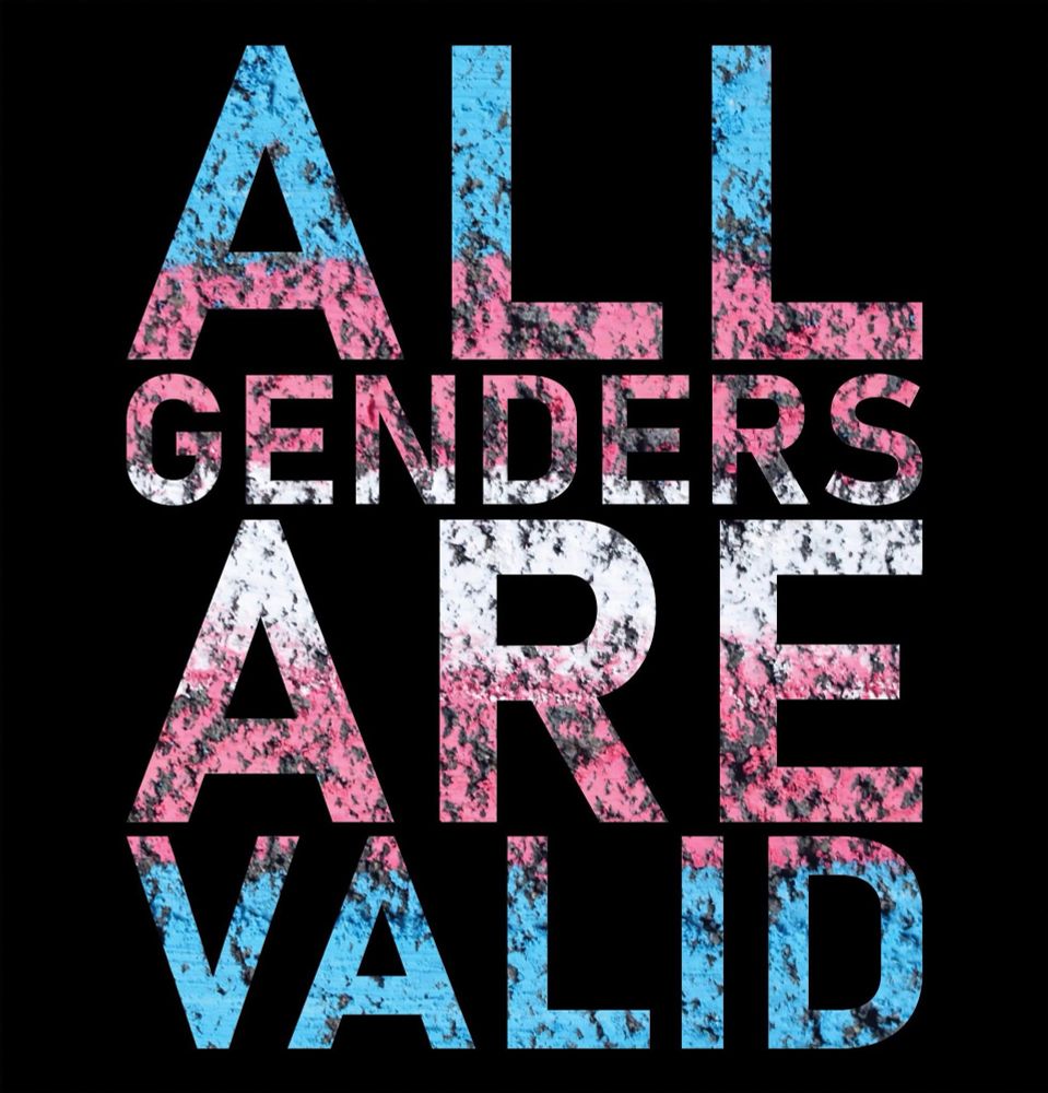 Text: all genders are valid - in trans pride colours 
