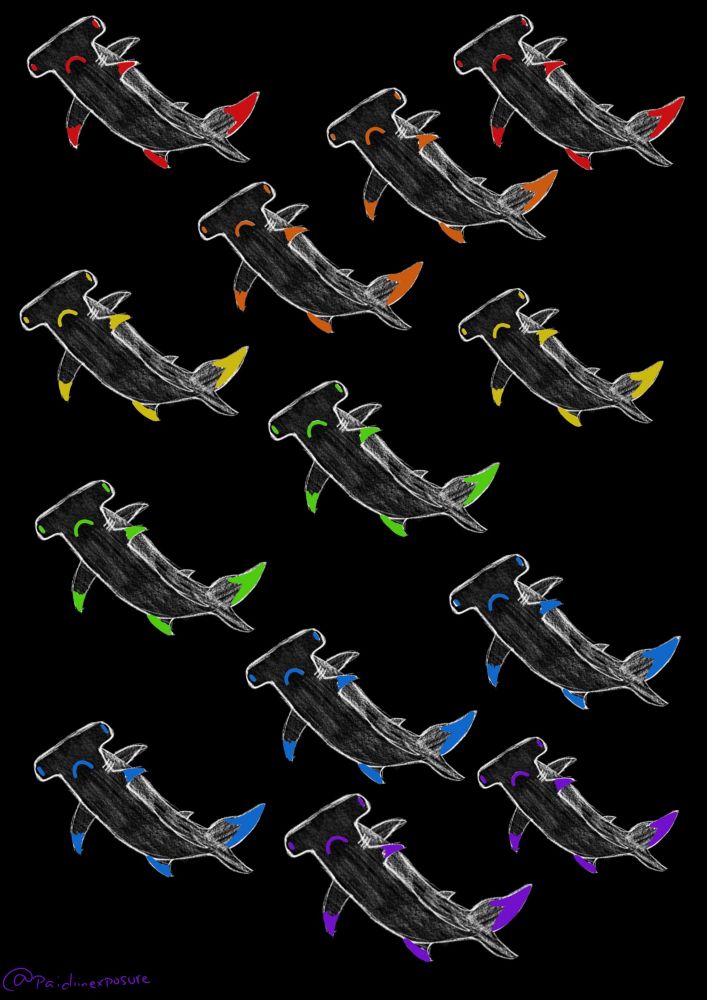 a drawing of hammerhead sharks on a black background. the sharks are set up in a repeating pattern and have details highlighted in rainbow colours. 