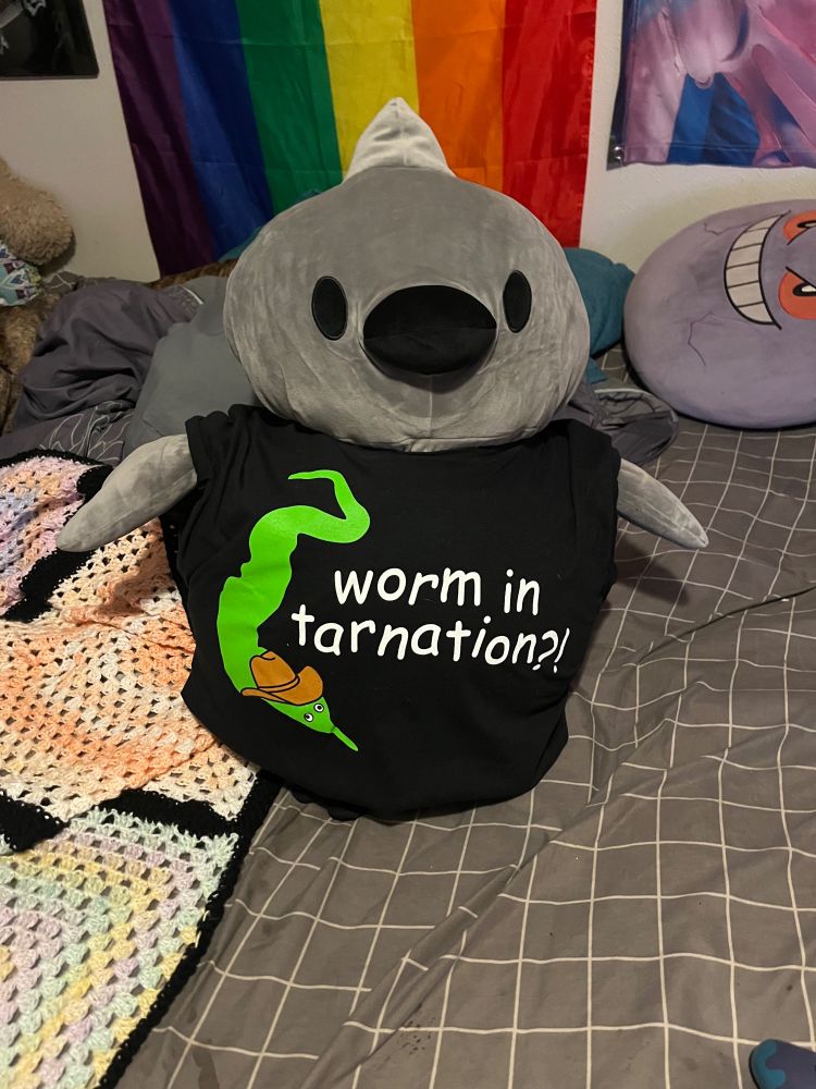 a big crow-like plushie known as a doodle plushie is wearing a black t-shirt that has a green worm on string wearing a cowboy hat next to text in comic sans font saying 'worm in tarnation?!' sitting on top of grey and white grid pattern bedsheet