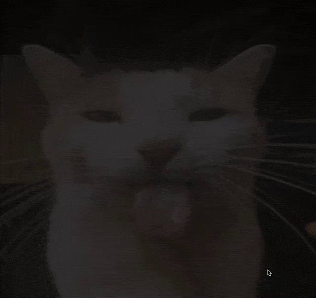 a close up of a cat sticking its tongue out while looking at the camera