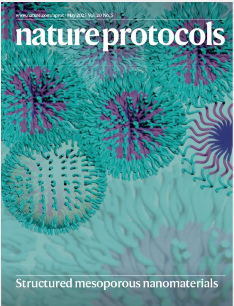 The cover of the May issue of Nature Protocols shows a 3D rendering of mesopourous nanoparticles 