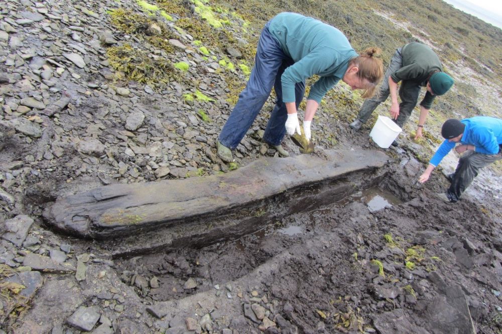 Funding secured for environmental archaeology research centre in Orkney - Archaeology Orkney