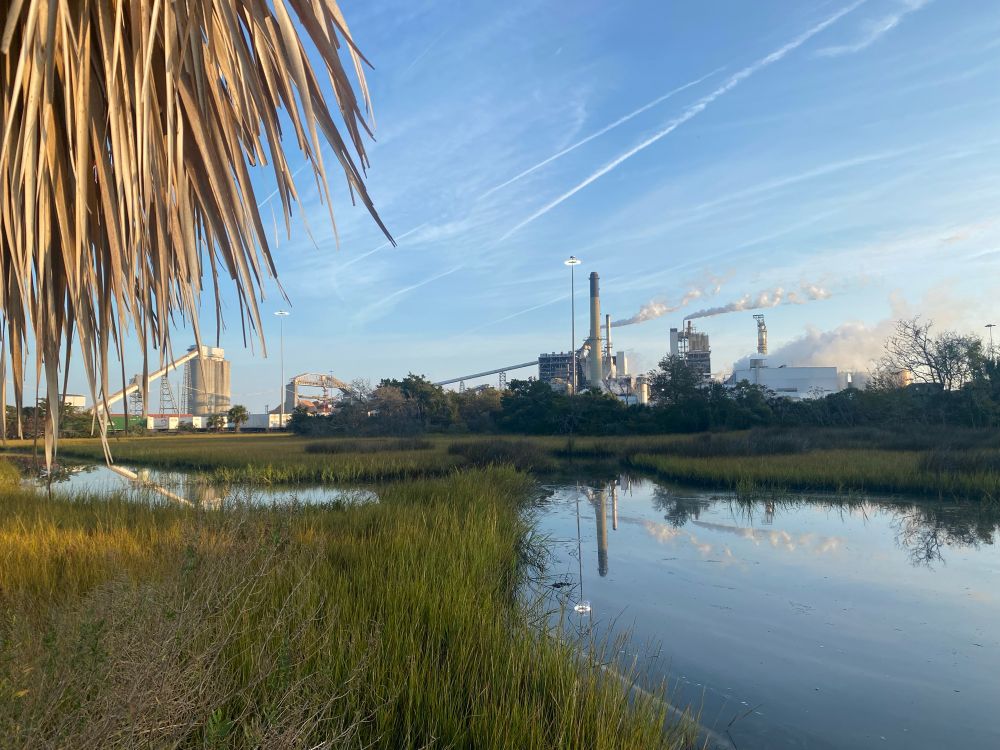 A brackish tidal marsh in front of a large pulp and cardboard mill.