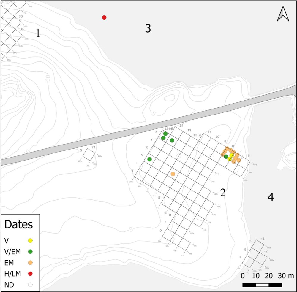 Figure 2 from the paper - The Introduction of Chickens Into Norway and Their Early Use: New Evidence From the Borgund Kaupang - caption as published: 
Spatial and temporal distribution of Gallus gallus domesticus bones recovered from Borgund. The distribution within grid squares is placed at random. Areas of the site: (1) Northern Site, (2) Southern site, (3) Katavågen, (4) Klokkersundet. Dates: EM = Early Medieval, HM = High Medieval, LM = Late Medieval, ND = Not dated, V = Viking Age. Basemap BKP, data G. Hansen. 