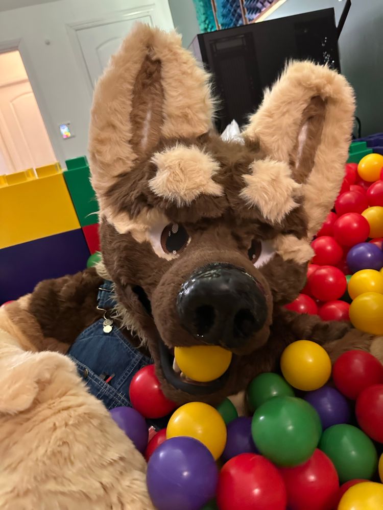 German shepherd puppy fursuiter in a ball pit full of brightly colored balls in red, green, purple and yellow. One of the yellow balls is in the lil doggos mouth. Caption is meant to reflect his mouth’s full of something so the words “try the yellow ones, they taste like lemons” is distorted. 