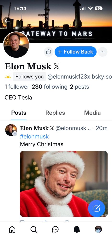 Pic of Elon Musk in Father Christmas clothes supposedly following me in here 😂