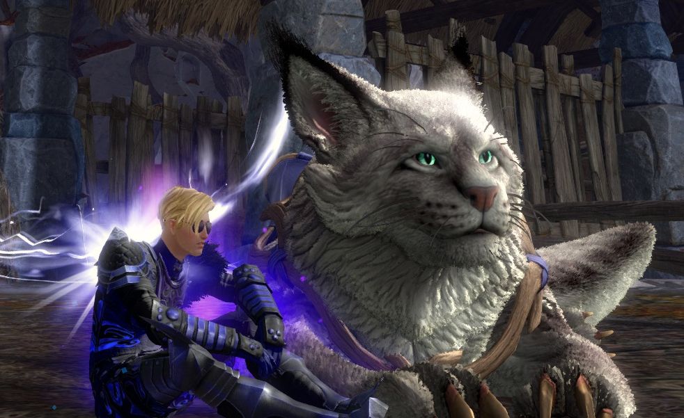 gw2 screenshot of the same human sitting beside the fluffy warclaw.