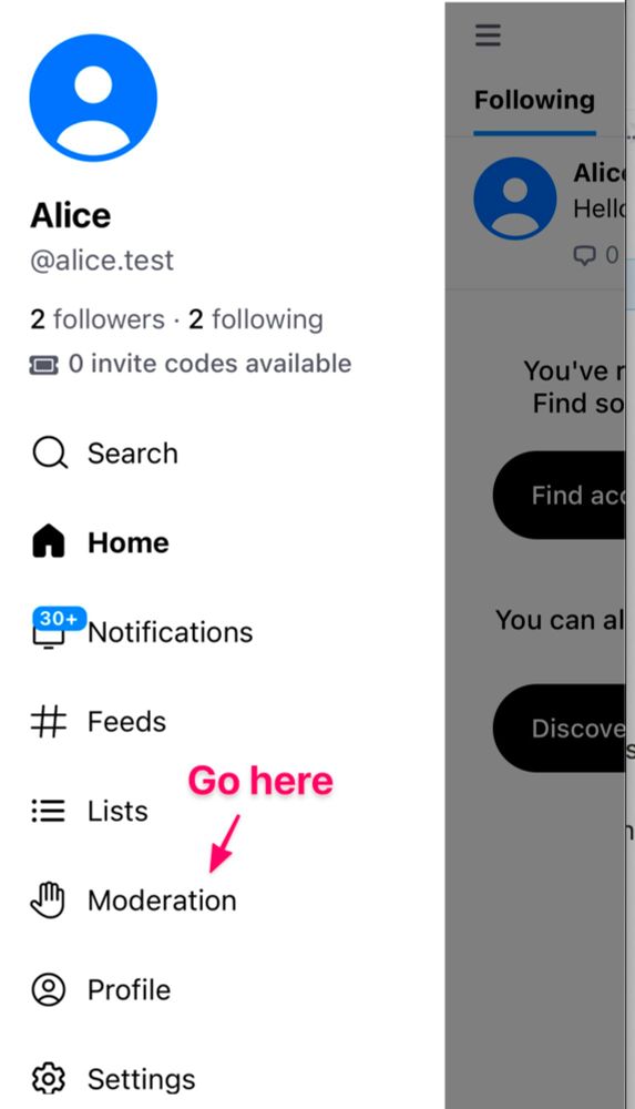 A screenshot of Bluesky's side navigation. An arrow labeled "Go here" points at "Moderation"