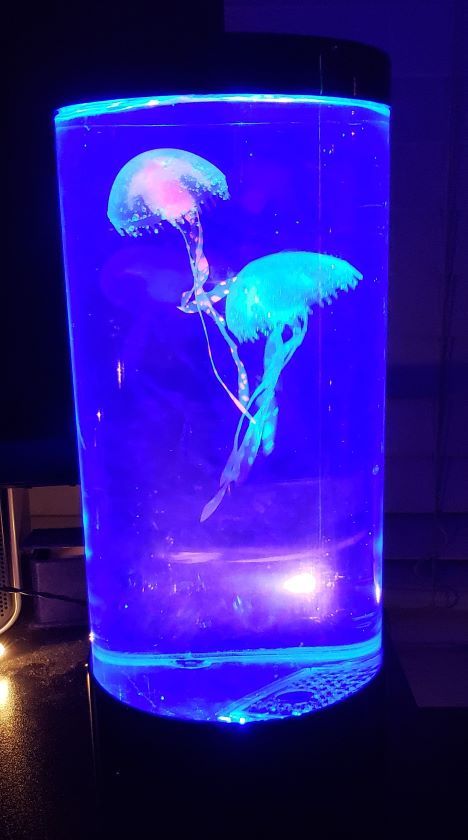 Image of the Litehaus LED Jellyfish Lamp on my desk.