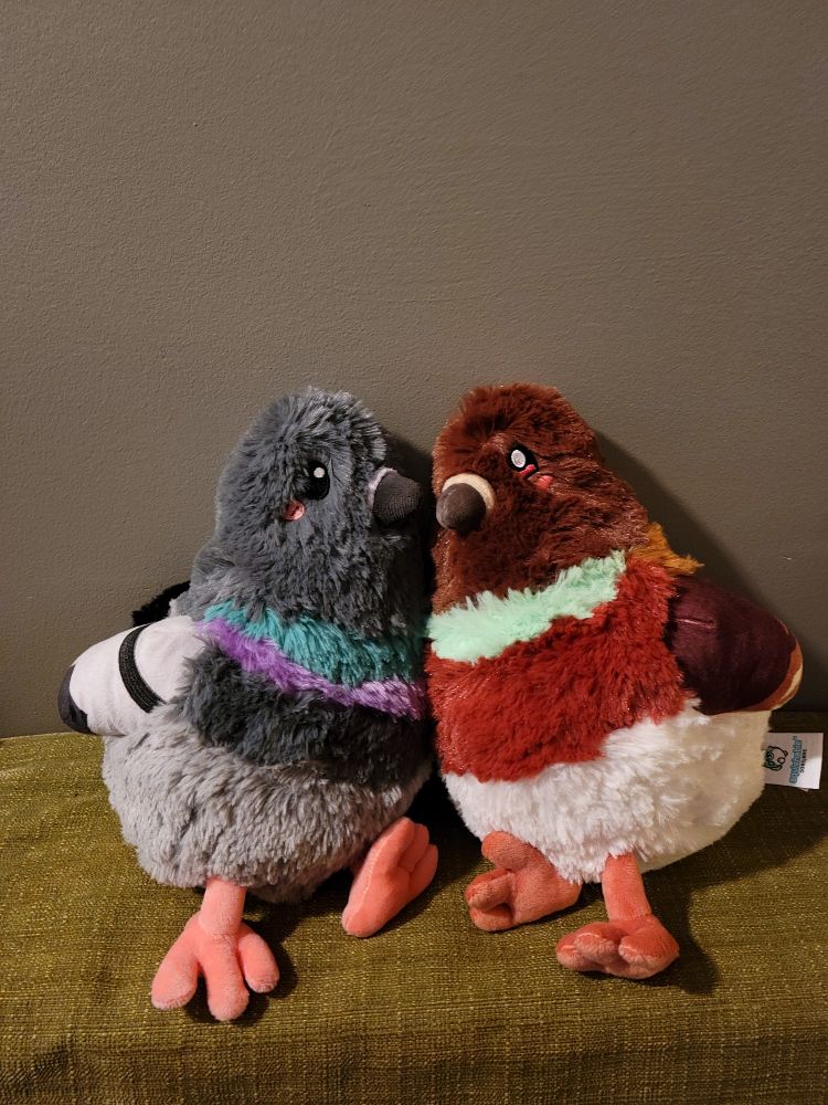 A pair of pigeon squishable stuffies, which are big round bottomed stuffies. The one on the left is a grey colourway and the one in the right is a brown colourway. They are facing each other and look like they are cuddling. They are on a grey background and are set on a green rectangular pillow block 