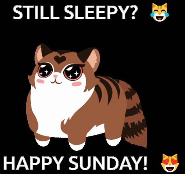 an illustration of a cat with a heart on its face and the words still sleepy happy sunday