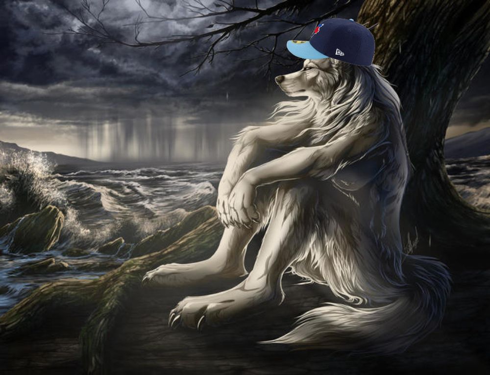 Sad contemplative wolf meme but he’s wearing a blue jays hat