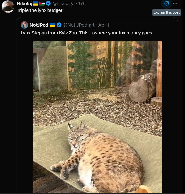 Nikolaj reposted with a quote:
"Triple the lynx budget"
post:
NotJPod posted:
"Lynx Stepan from Kyiv Zoo. This is where your tax money goes"
and the picture with a chubby lynx"