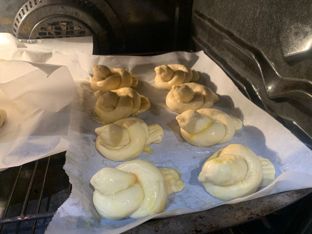 a tray with eight rolls shaped like simple birds with a single coat of egg wash, rising in an oven on a piece of parchment paper