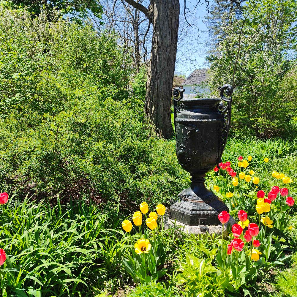 A large black, decorative urn sits on a pedestal. The urn is surrounded by red and yellow tulips.
