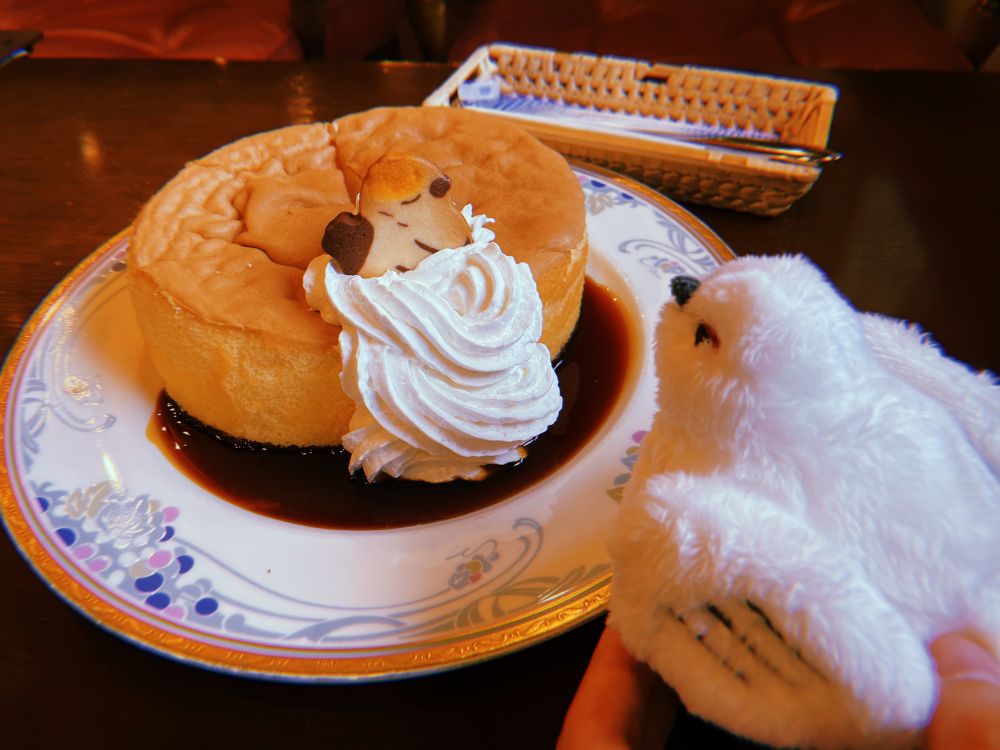 左に挙げていた写真の角度違い。

雷鳥がシフォンケーキを見るような角度で写真を撮っている