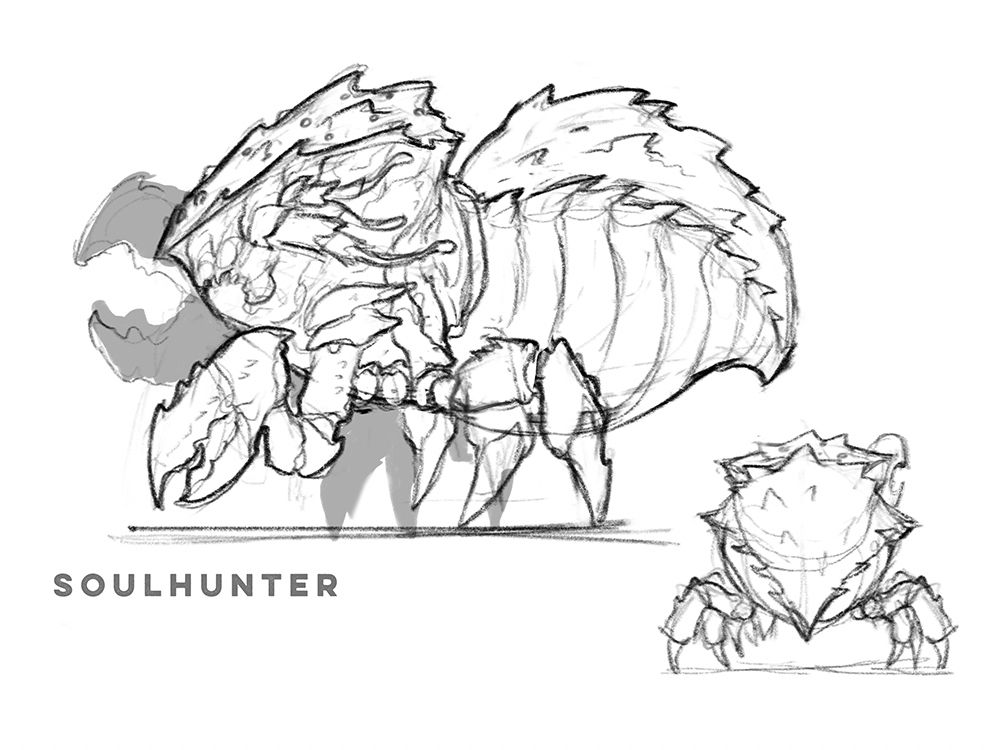 Turn sketch for the spider crab