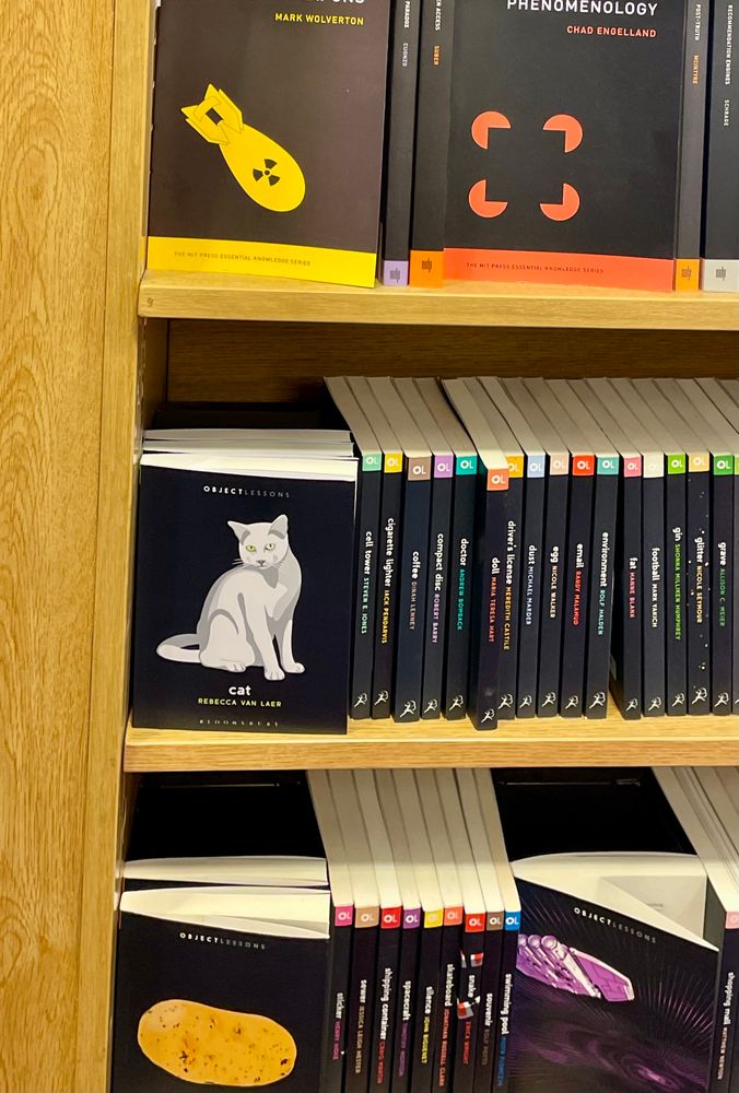 Shelf containing the Bloomsbury Object Lessons series, all with black spines and colourful titles. Rebecca van Laer's CAT is facing out to the camera.